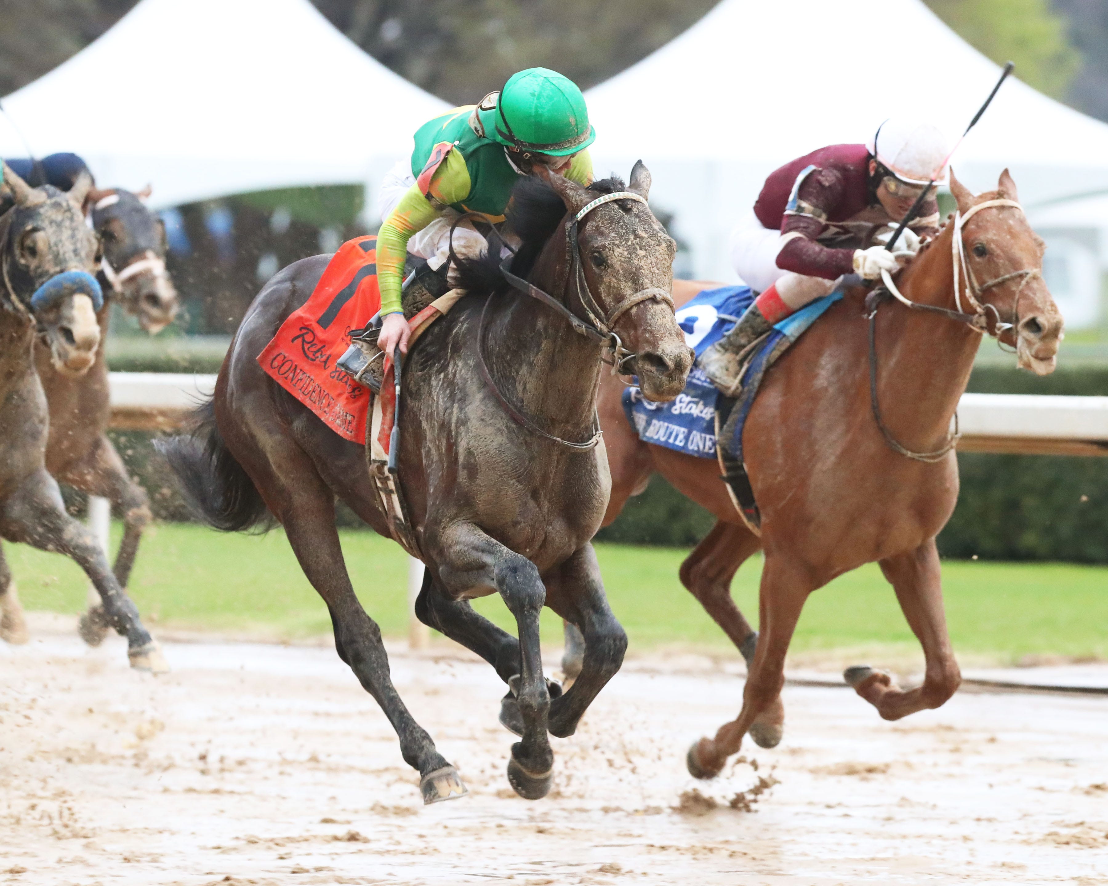 Road to the 2023 Kentucky Derby Rebel Stakes analysis